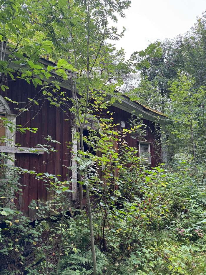 Varjakan sauna