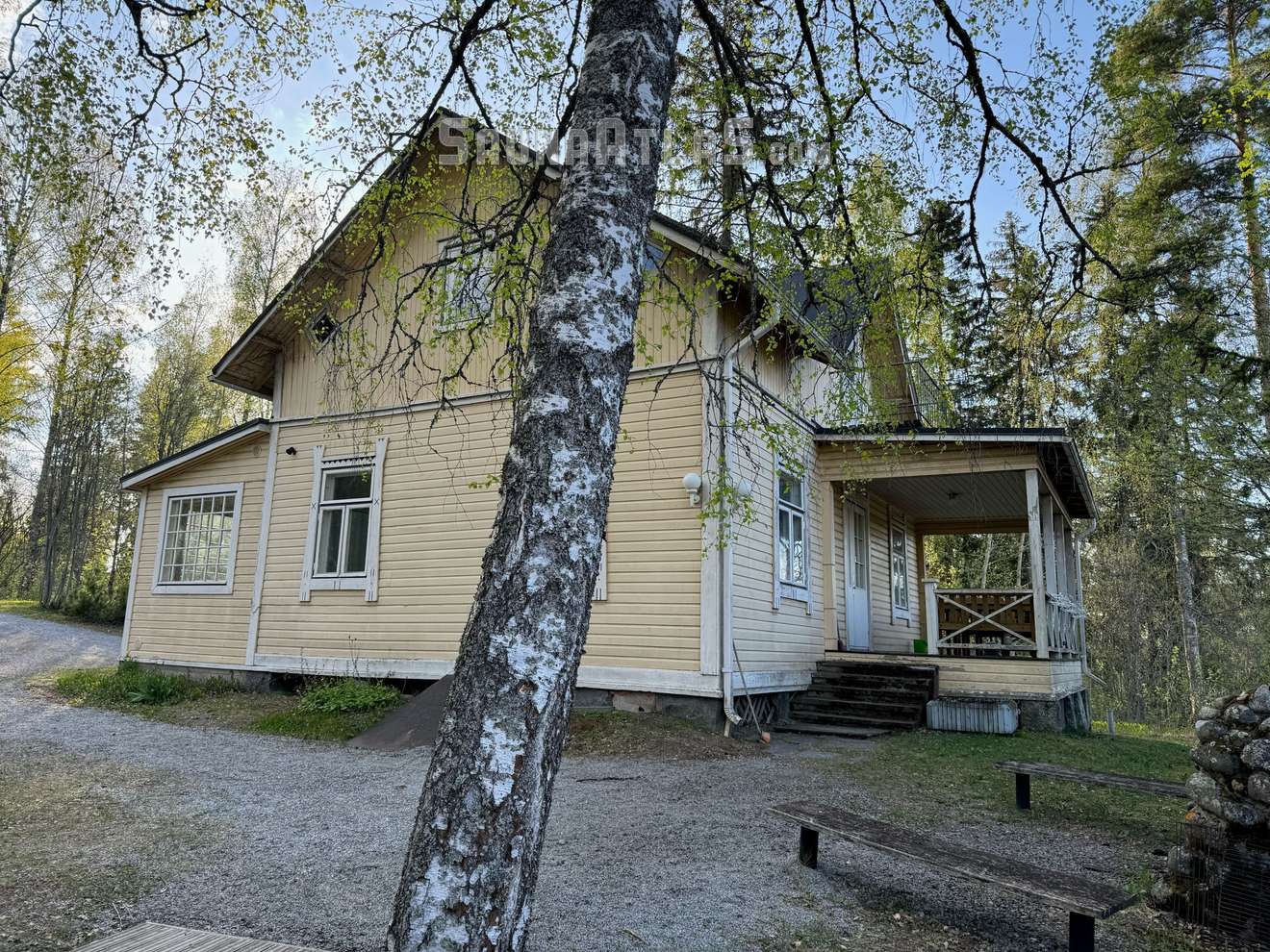 Haljastennokka