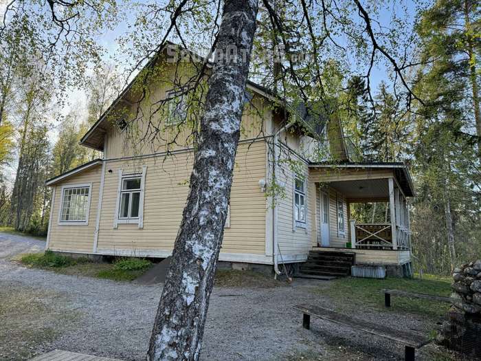 Haljastennokka