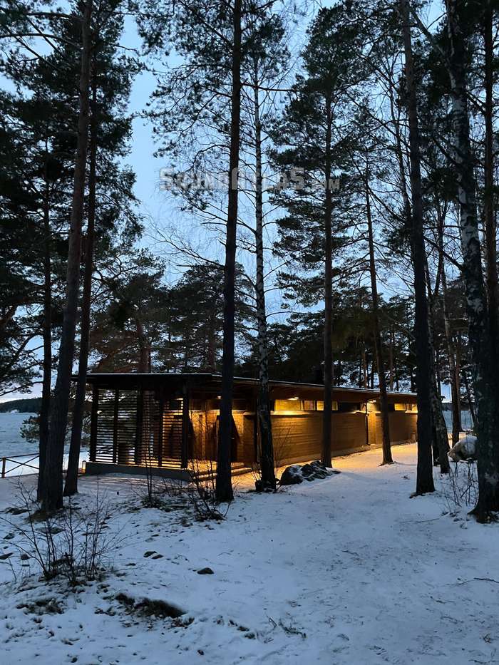 Saaronniemen talviuinti