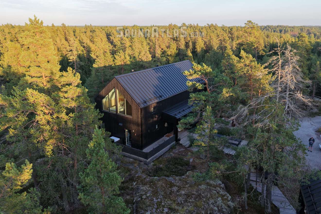 Hilltop Forest