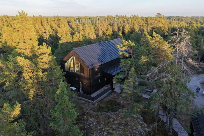 Hilltop Forest