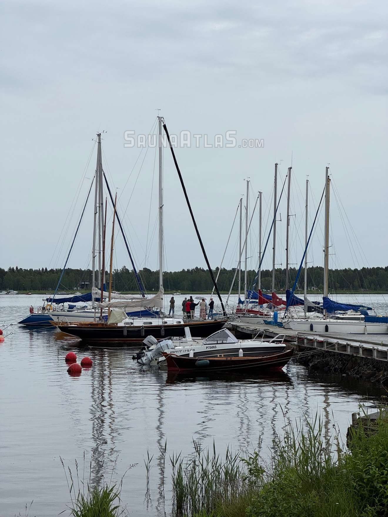 Kokkolan purjehtijat