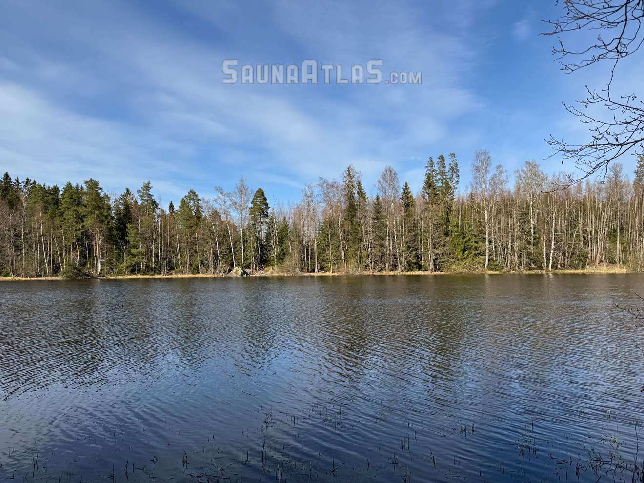 Koivusaari