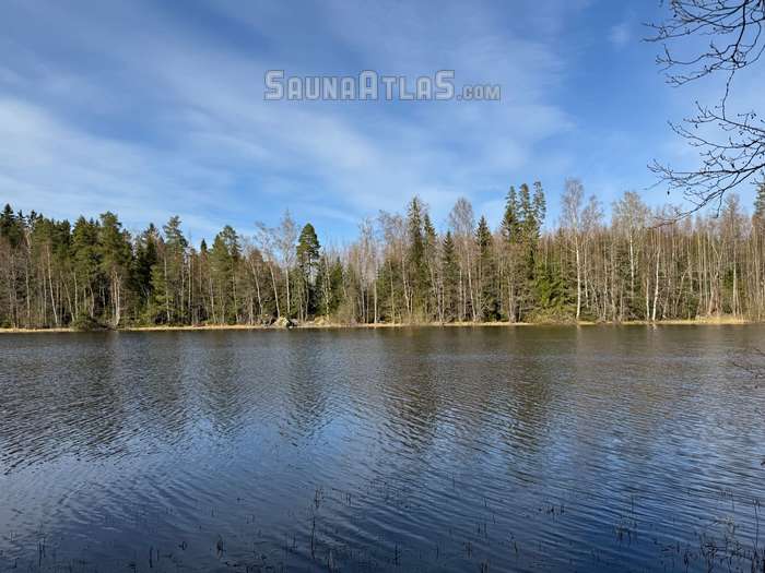 Koivusaari