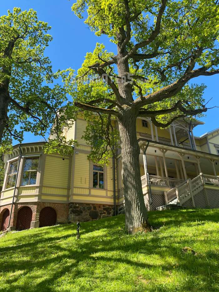 Villa Marjaniemi