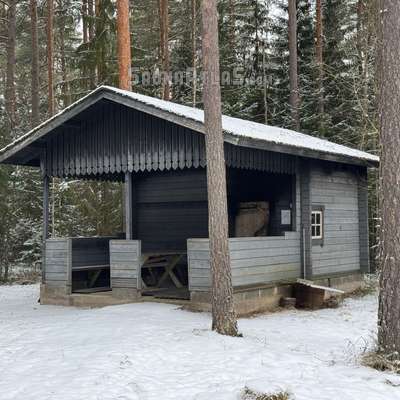 Veteraanitupa