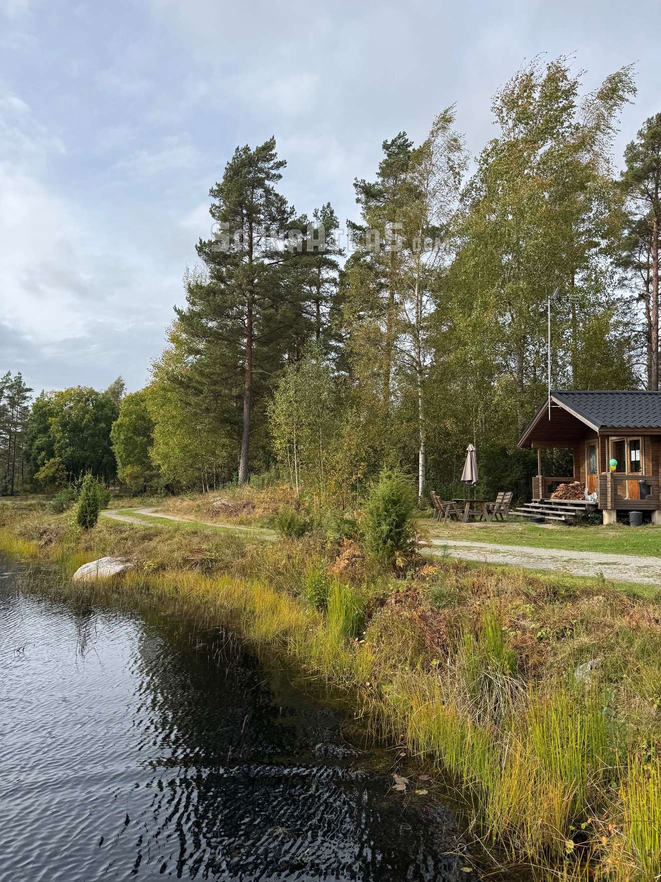 Pinetree Cottages