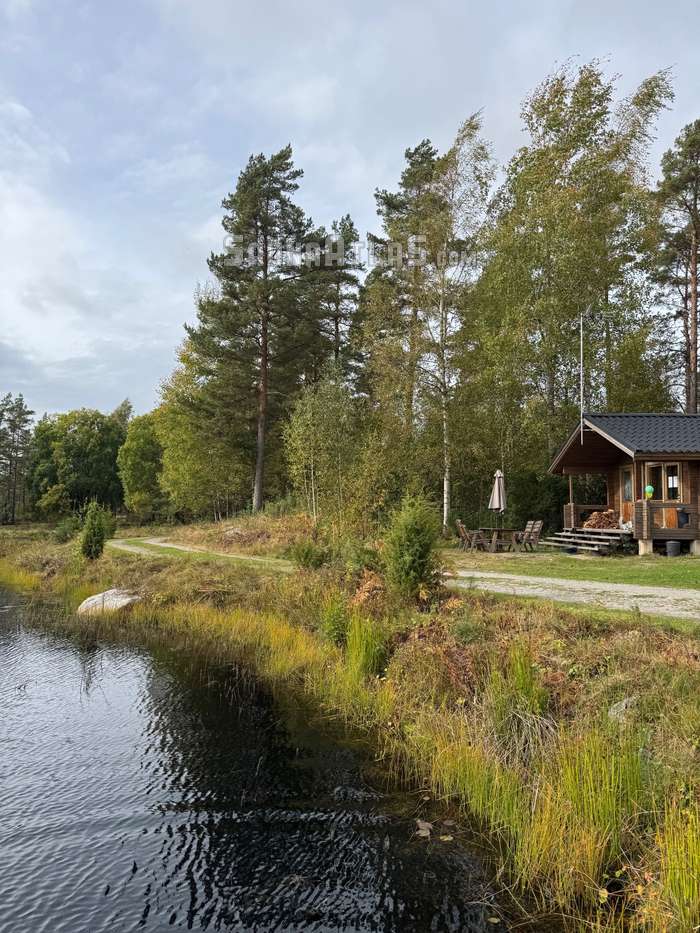 Pinetree Cottages