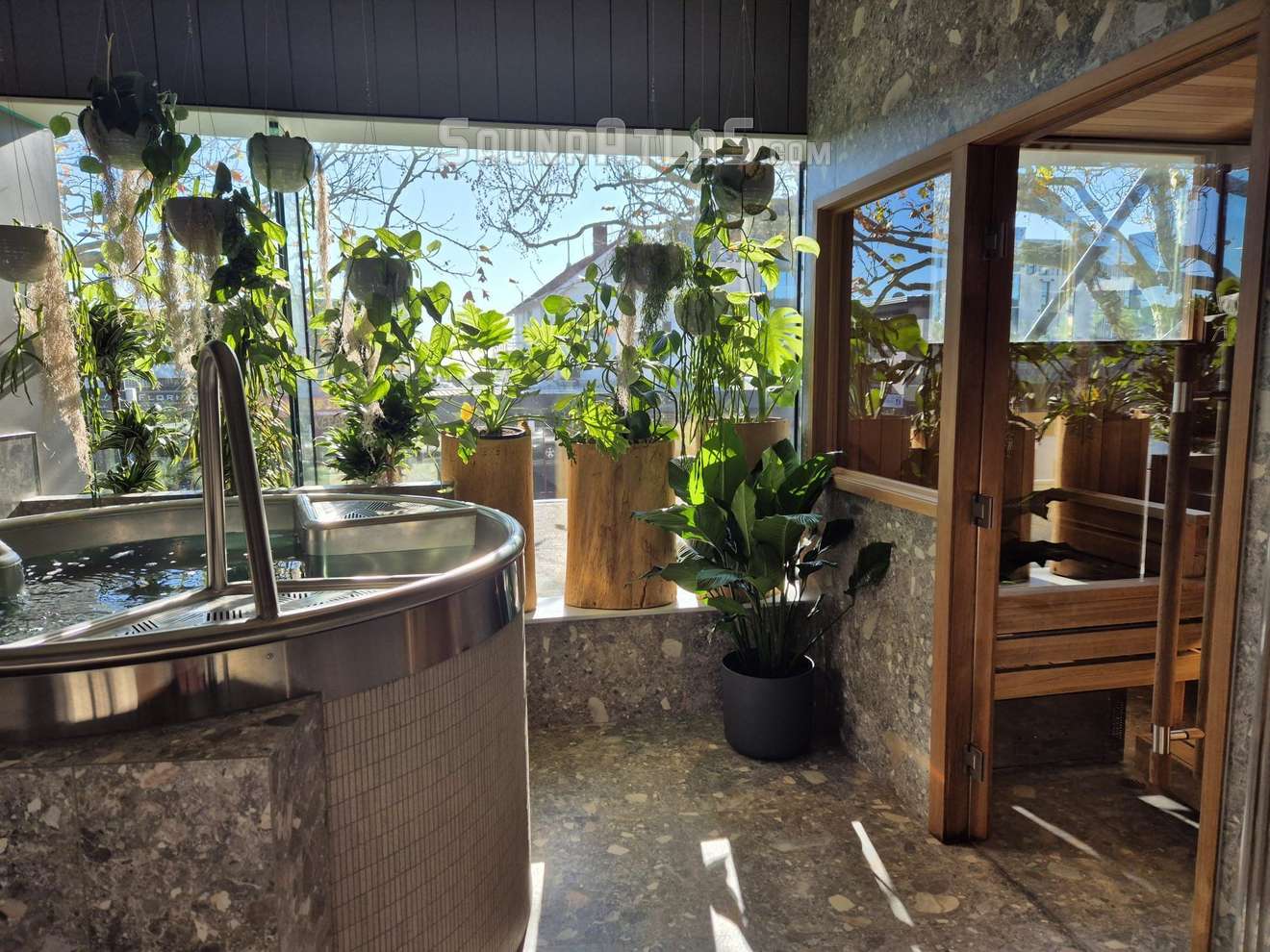 O-Studio Remuera