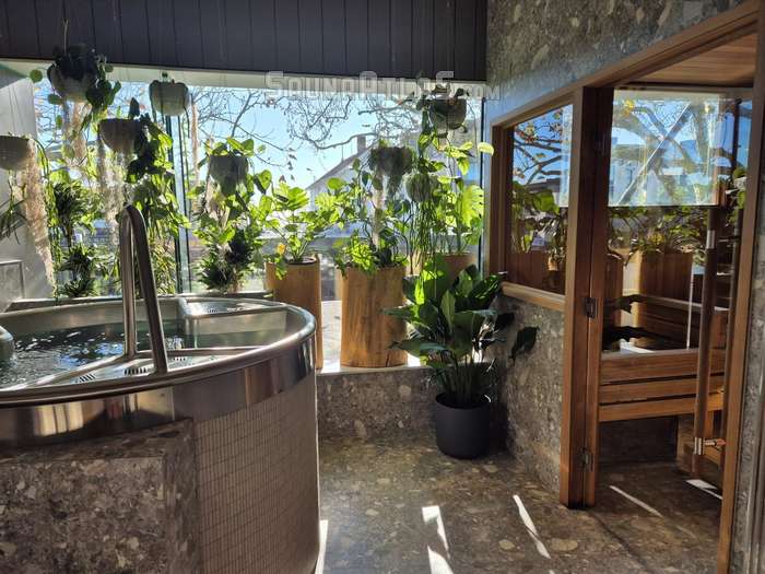 O-Studio Remuera