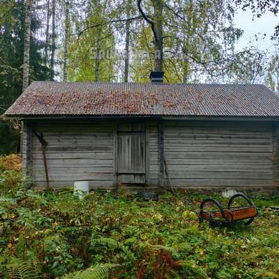 Lehtisensaari
