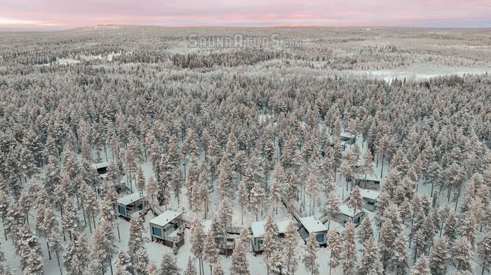 Invisible Forest Lodge